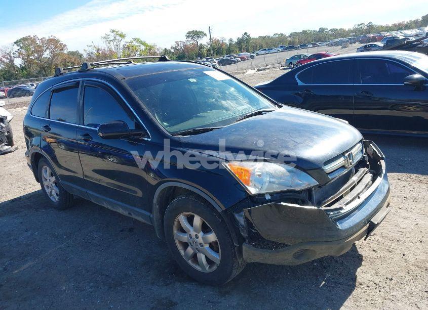 2007 Honda Cr-v EX-L (VIN JHLRE487X7C025050) main photo