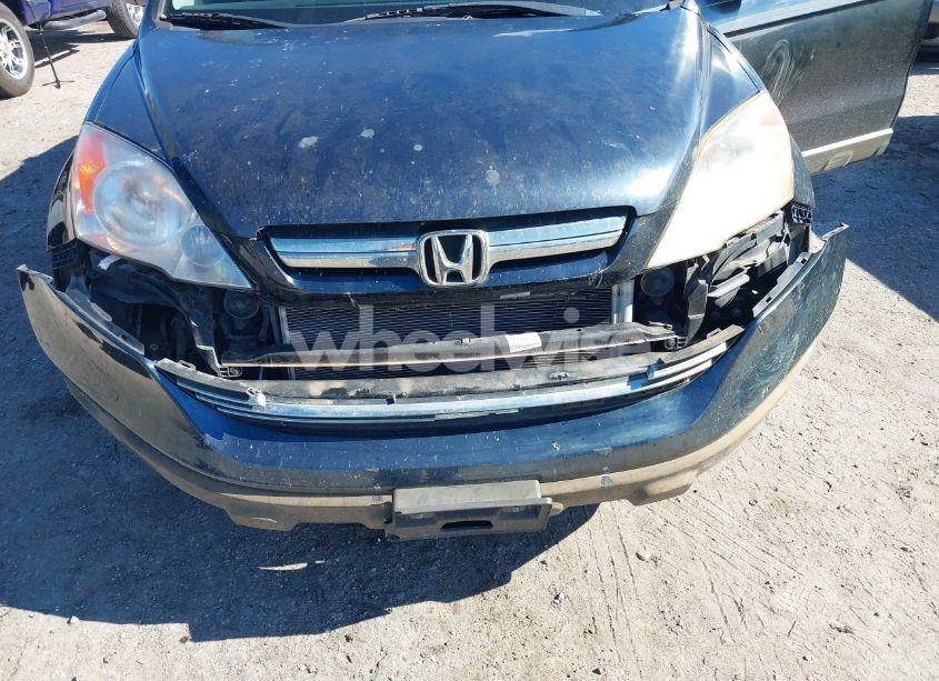 Photo 6 of 2007 Honda Cr-v EX-L (VIN JHLRE487X7C025050)