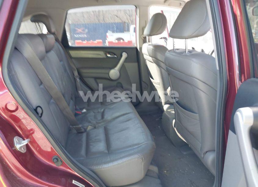 Photo 8 of 2007 Honda Cr-v EX-L (VIN JHLRE487X7C092182)