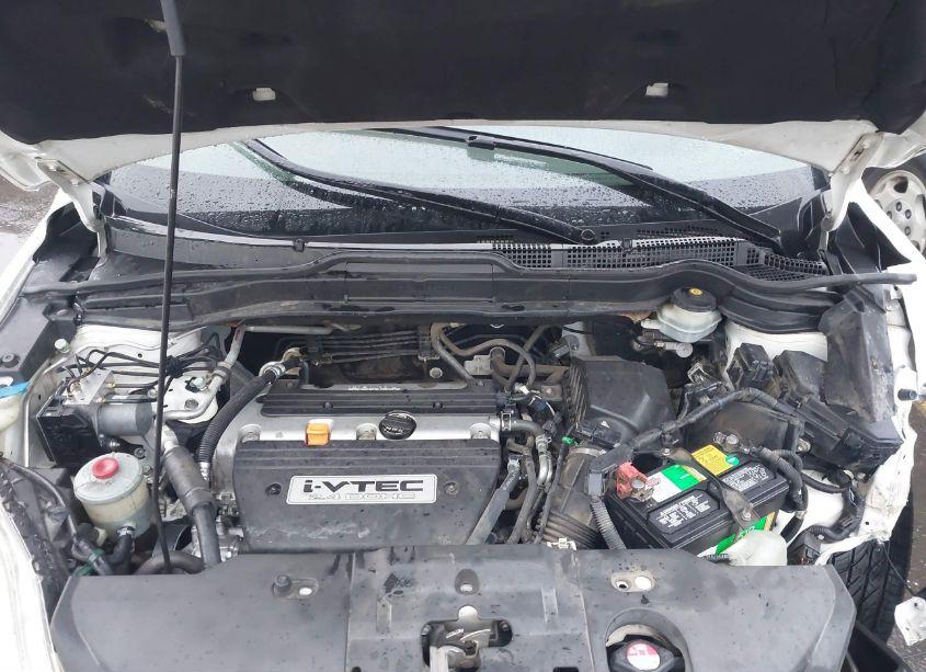 Photo 10 of 2007 Honda Cr-v EX-L (VIN JHLRE487X7C098337)