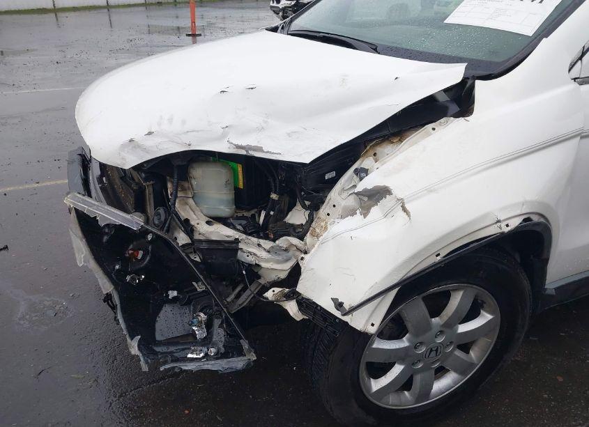 Photo 18 of 2007 Honda Cr-v EX-L (VIN JHLRE487X7C098337)