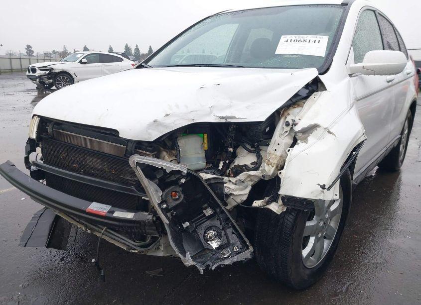 Photo 6 of 2007 Honda Cr-v EX-L (VIN JHLRE487X7C098337)