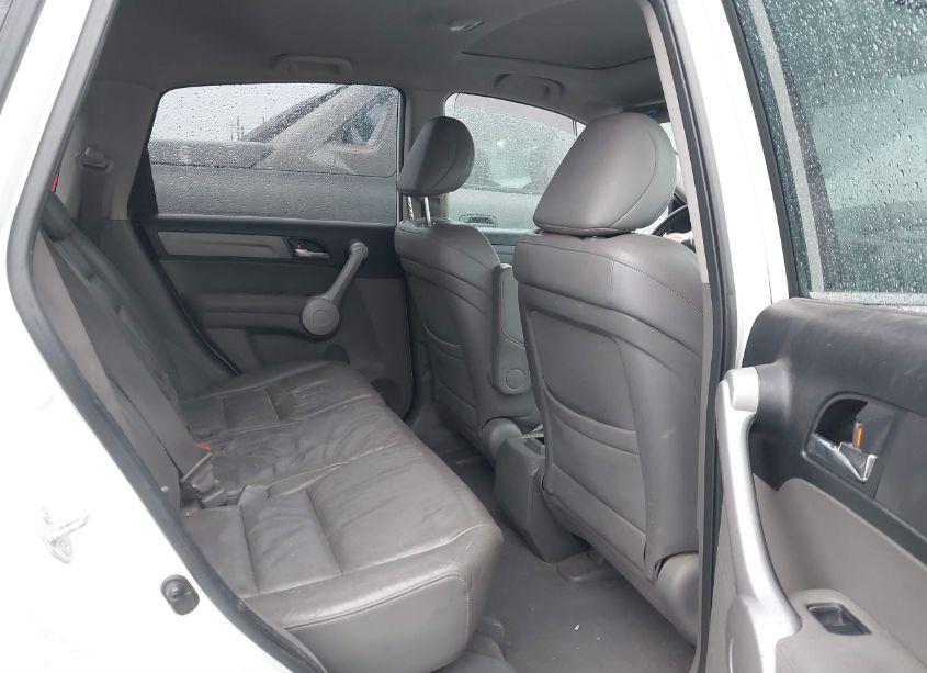 Photo 8 of 2007 Honda Cr-v EX-L (VIN JHLRE487X7C098337)