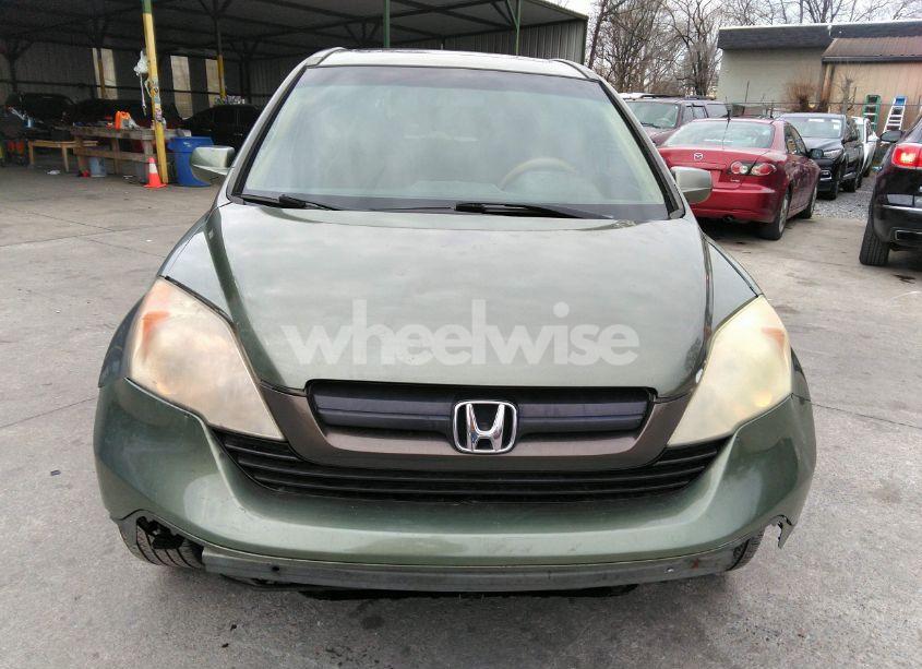 Photo 12 of 2008 Honda Cr-v EX-L (VIN JHLRE487X8C014910)