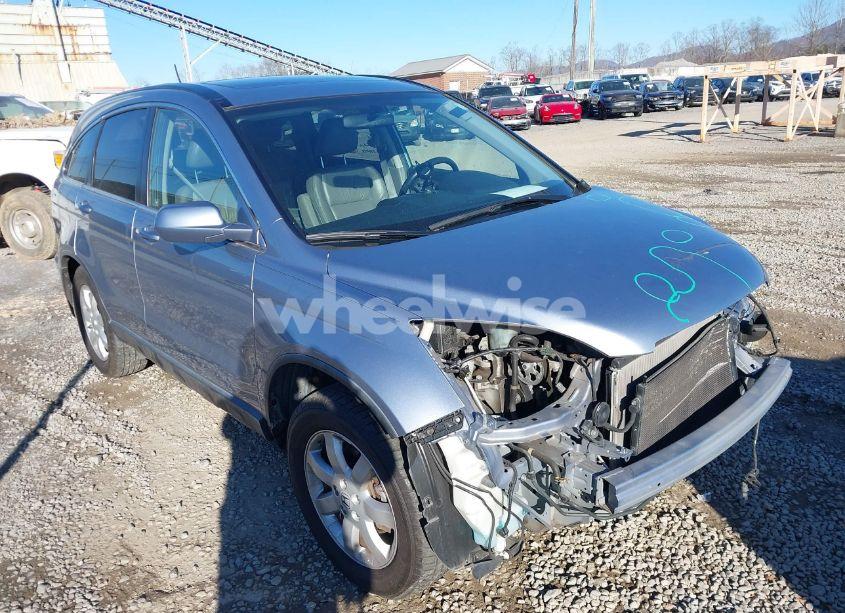 2008 Honda Cr-v EX-L (VIN JHLRE487X8C051259) main photo