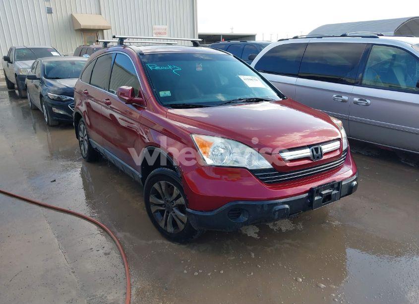2008 Honda Cr-v EX-L (VIN JHLRE487X8C069258) main photo