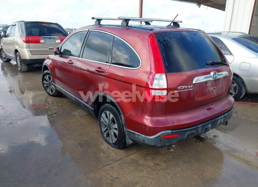 Photo 3 of 2008 Honda Cr-v EX-L (VIN JHLRE487X8C069258)