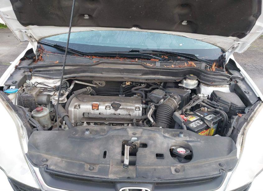 Photo 10 of 2011 Honda Cr-v LX (VIN JHLRE4H33BC033321)