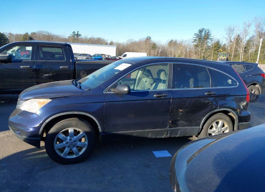 Photo 14 of 2011 Honda Cr-v SE (VIN JHLRE4H48BC028365)