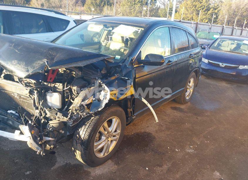 Photo 2 of 2010 Honda Cr-v EX-L (VIN JHLRE4H72AC004314)