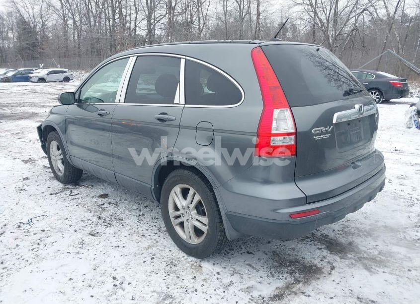 Photo 3 of 2010 Honda Cr-v EX-L (VIN JHLRE4H72AC010498)