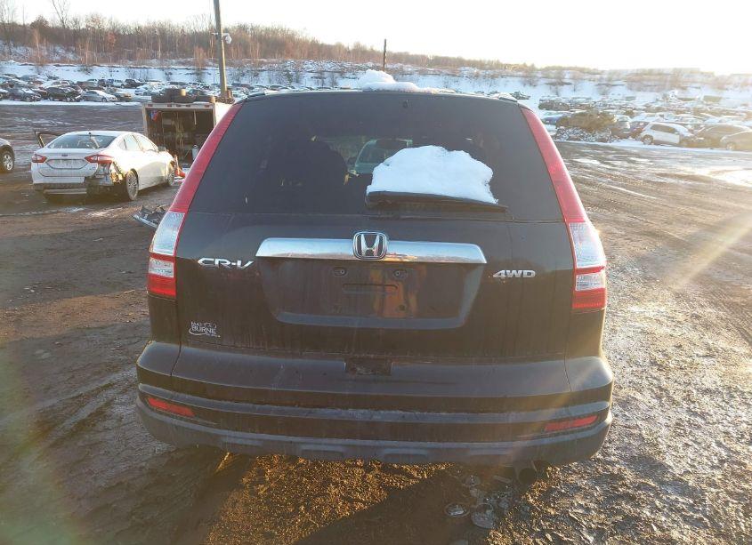 Photo 16 of 2011 Honda Cr-v EX-L (VIN JHLRE4H72BC032244)
