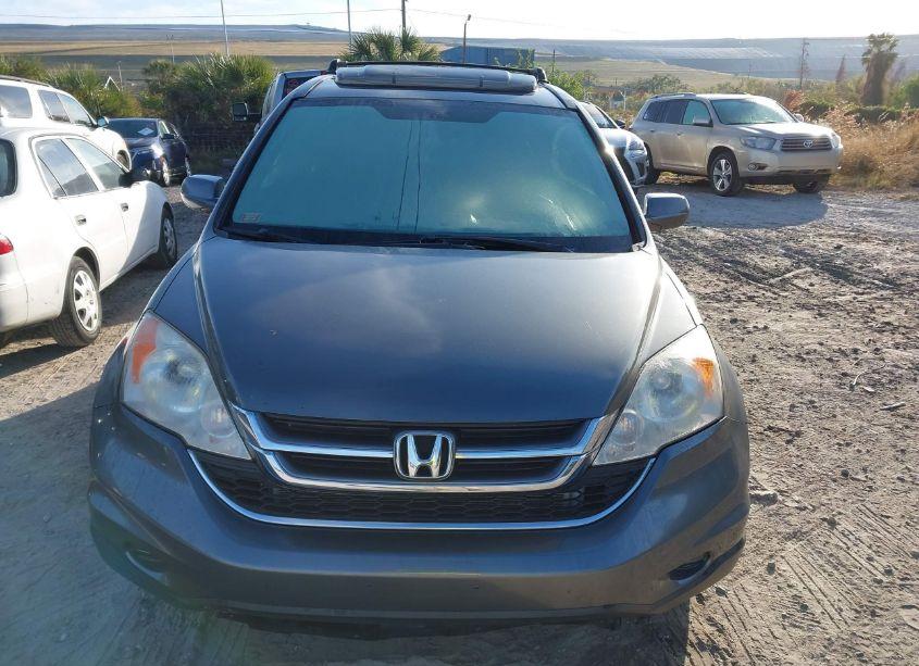 Photo 12 of 2010 Honda Cr-v EX-L (VIN JHLRE4H73AC011711)