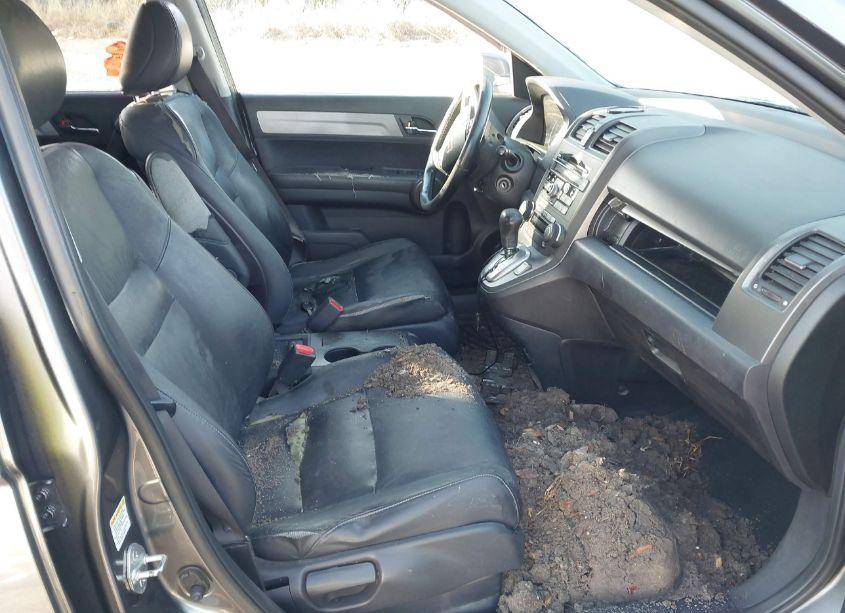 Photo 5 of 2010 Honda Cr-v EX-L (VIN JHLRE4H73AC011711)