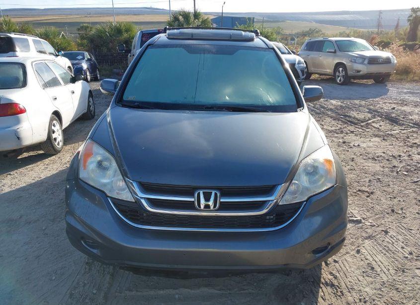 Photo 6 of 2010 Honda Cr-v EX-L (VIN JHLRE4H73AC011711)