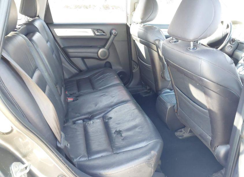 Photo 8 of 2010 Honda Cr-v EX-L (VIN JHLRE4H73AC011711)