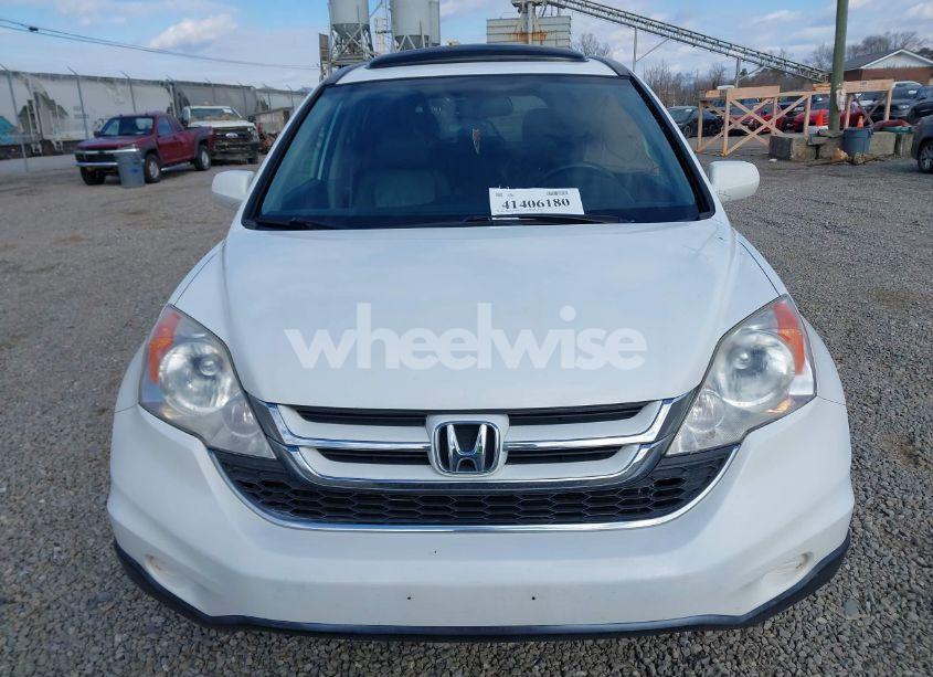 Photo 12 of 2010 Honda Cr-v EX-L (VIN JHLRE4H74AC006033)
