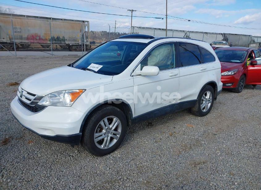 Photo 2 of 2010 Honda Cr-v EX-L (VIN JHLRE4H74AC006033)