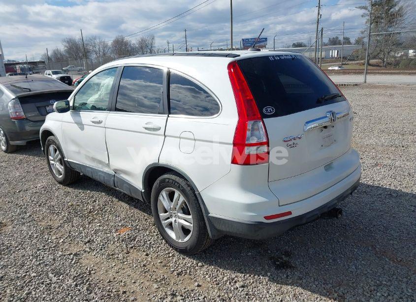 Photo 3 of 2010 Honda Cr-v EX-L (VIN JHLRE4H74AC006033)