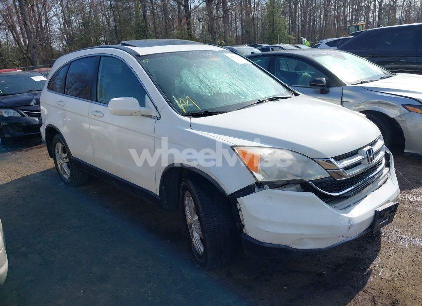 2010 Honda Cr-v EX-L (VIN JHLRE4H74AC015640) main photo