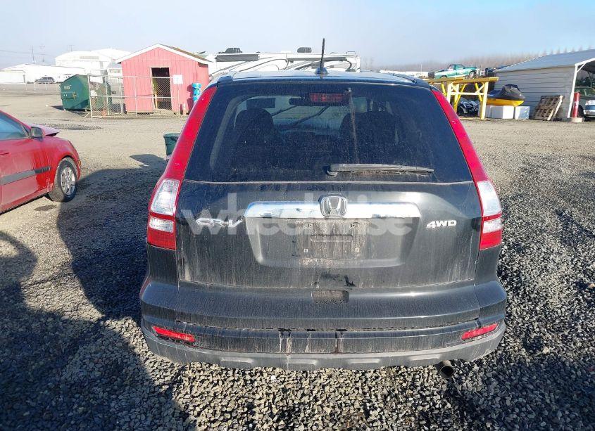 Photo 16 of 2010 Honda Cr-v EX-L (VIN JHLRE4H75AC004694)