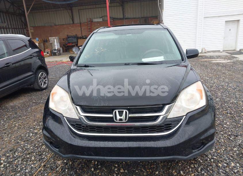 Photo 12 of 2010 Honda Cr-v EX-L (VIN JHLRE4H76AC006079)