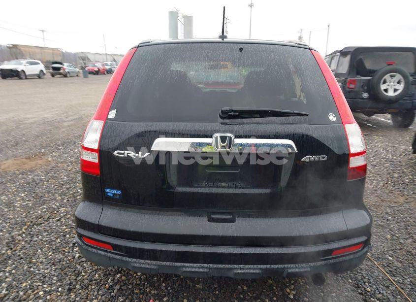 Photo 16 of 2010 Honda Cr-v EX-L (VIN JHLRE4H76AC006079)