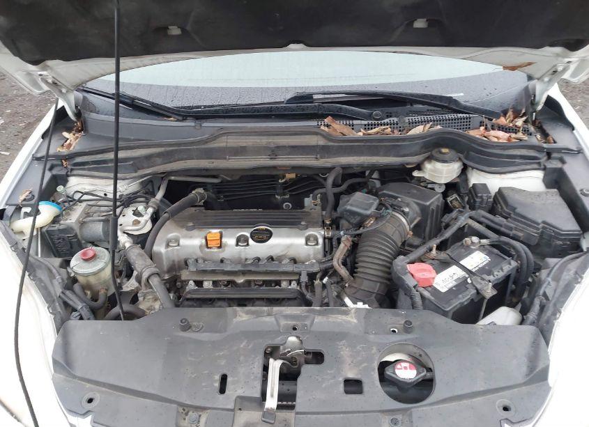 Photo 10 of 2010 Honda Cr-v EX-L (VIN JHLRE4H77AC002610)