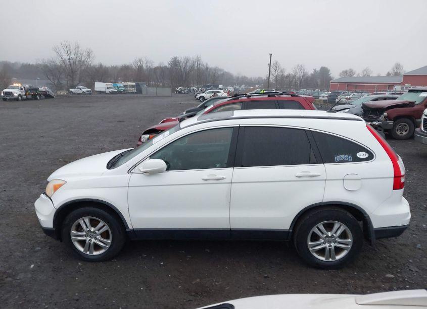 Photo 14 of 2010 Honda Cr-v EX-L (VIN JHLRE4H77AC002610)