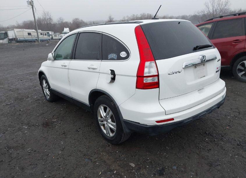 Photo 3 of 2010 Honda Cr-v EX-L (VIN JHLRE4H77AC002610)