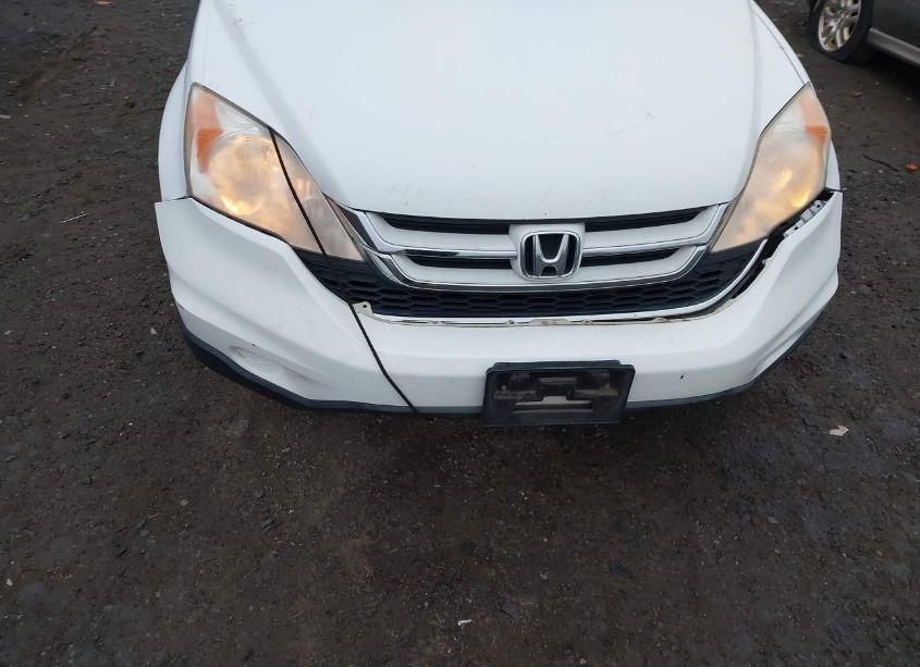 Photo 6 of 2010 Honda Cr-v EX-L (VIN JHLRE4H77AC002610)