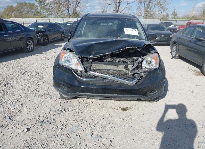 Photo 13 of 2010 Honda Cr-v EX-L (VIN JHLRE4H77AC007807)