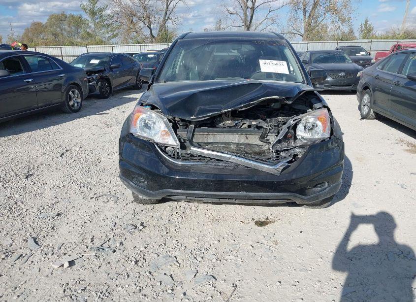 Photo 6 of 2010 Honda Cr-v EX-L (VIN JHLRE4H77AC007807)