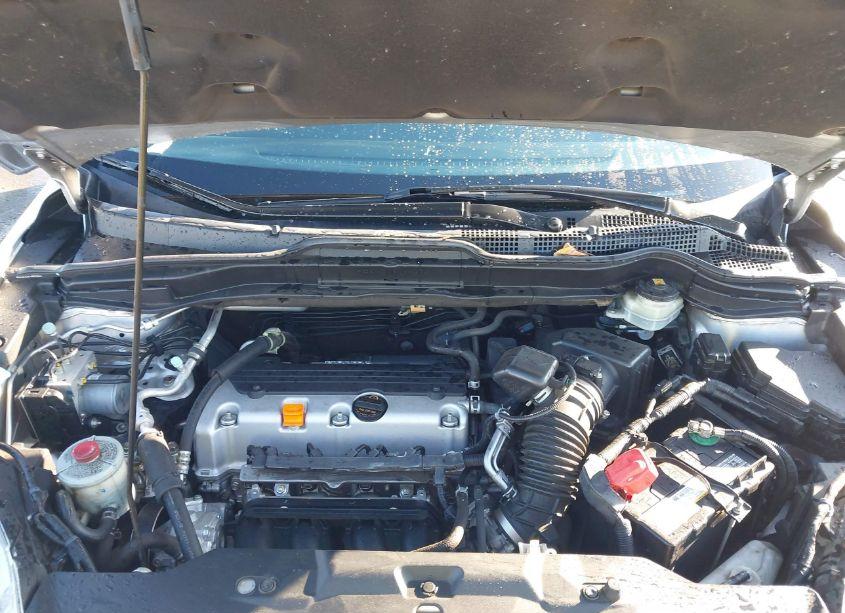 Photo 10 of 2010 Honda Cr-v EX-L (VIN JHLRE4H77AC009332)