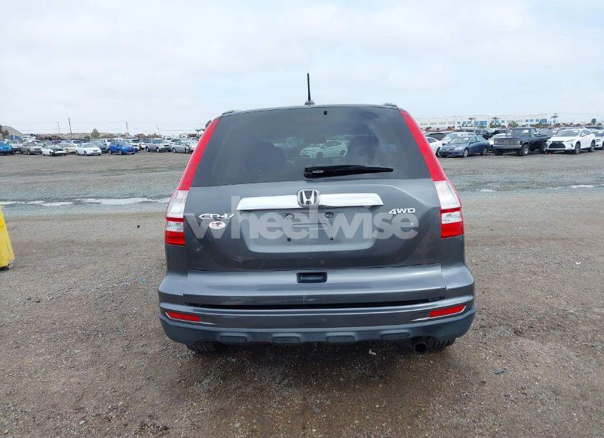 Photo 17 of 2010 Honda Cr-v EX-L (VIN JHLRE4H78AC011526)
