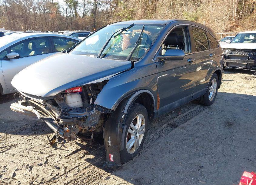 Photo 2 of 2011 Honda Cr-v EX-L (VIN JHLRE4H78BC003959)