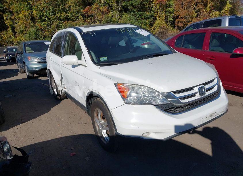 2011 Honda Cr-v EX-L (VIN JHLRE4H78BC031065) main photo