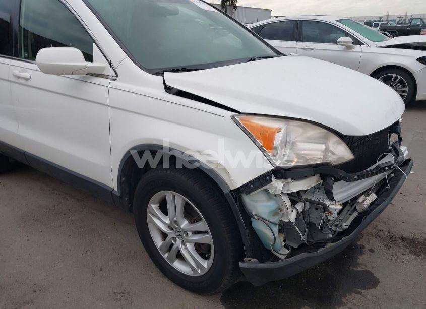 Photo 18 of 2011 Honda Cr-v EX-L (VIN JHLRE4H78BC034094)