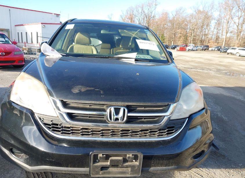 Photo 10 of 2010 Honda Cr-v EX-L (VIN JHLRE4H79AC002950)