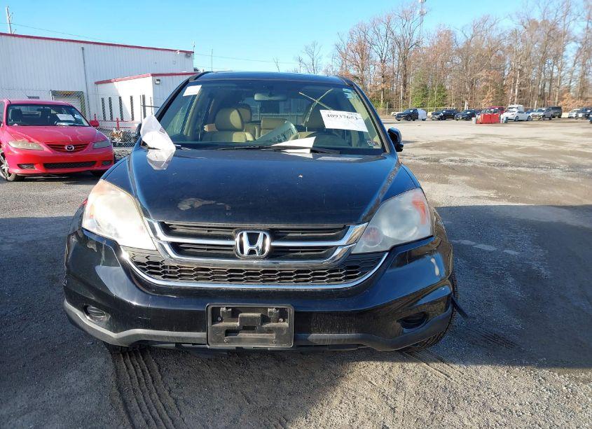 Photo 11 of 2010 Honda Cr-v EX-L (VIN JHLRE4H79AC002950)