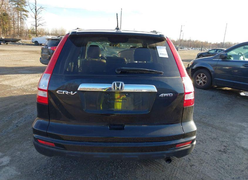 Photo 15 of 2010 Honda Cr-v EX-L (VIN JHLRE4H79AC002950)