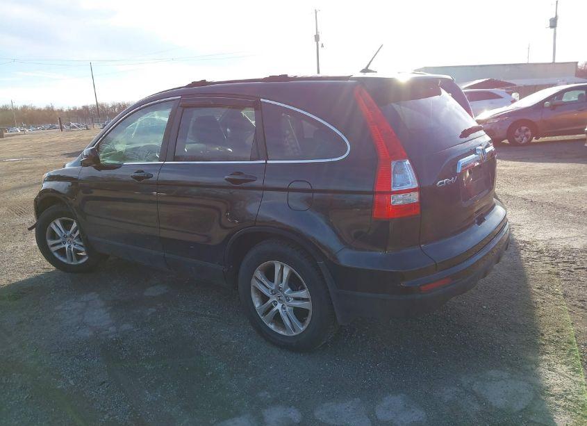 Photo 3 of 2010 Honda Cr-v EX-L (VIN JHLRE4H79AC002950)