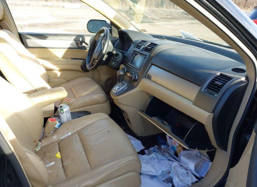 Photo 5 of 2010 Honda Cr-v EX-L (VIN JHLRE4H79AC002950)