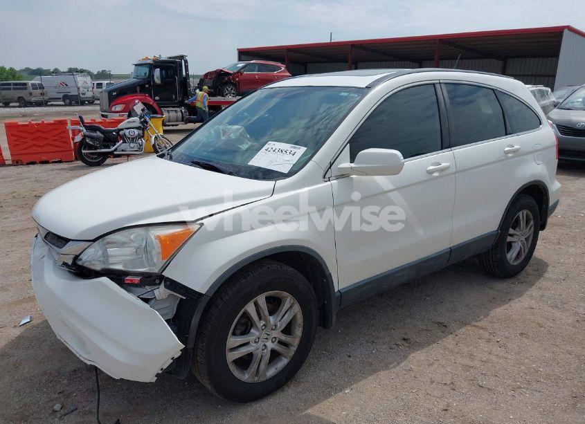 Photo 2 of 2010 Honda Cr-v EX-L (VIN JHLRE4H79AC012233)