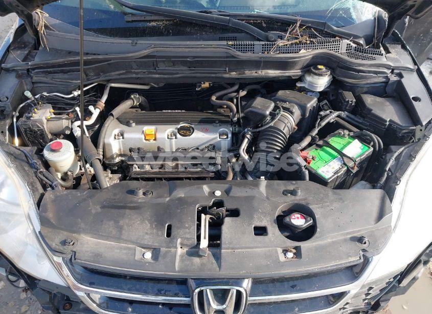 Photo 10 of 2010 Honda Cr-v EX-L (VIN JHLRE4H79AC012863)