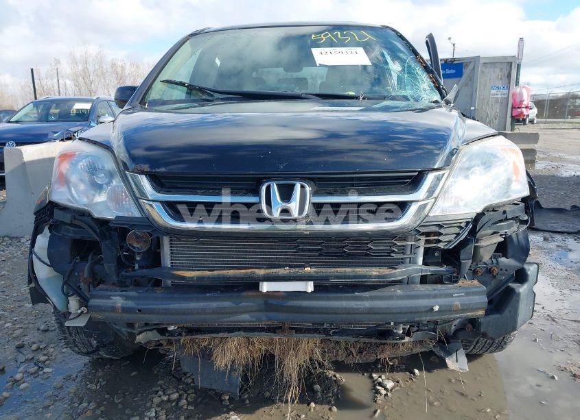 Photo 12 of 2010 Honda Cr-v EX-L (VIN JHLRE4H79AC012863)