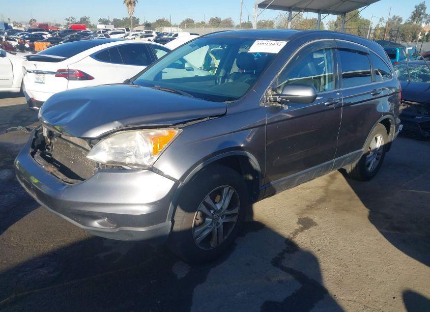 Photo 2 of 2011 Honda Cr-v EX-L (VIN JHLRE4H79BC003954)