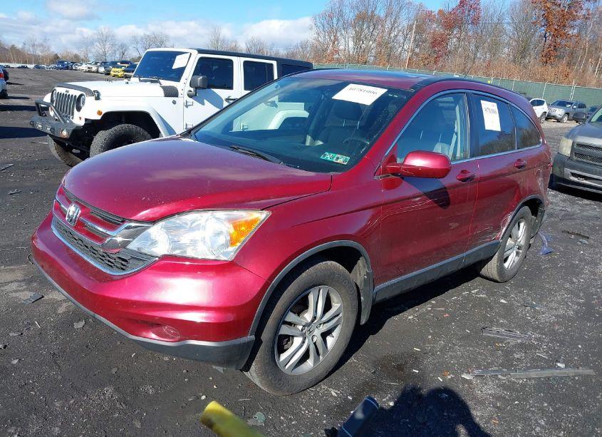 Photo 2 of 2011 Honda Cr-v EX-L (VIN JHLRE4H79BC021631)
