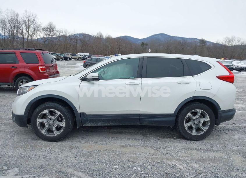 Photo 15 of 2019 Honda Cr-v EX (VIN JHLRW2H50KX017637)