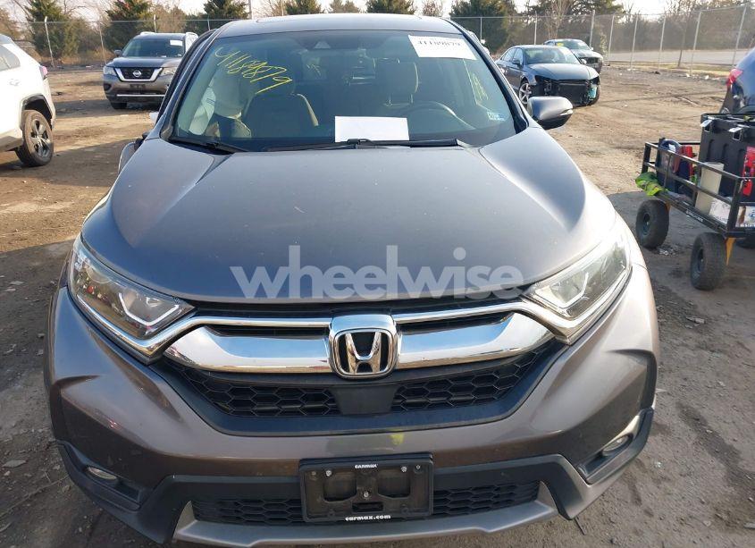 Photo 12 of 2019 Honda Cr-v EX (VIN JHLRW2H51KX016531)